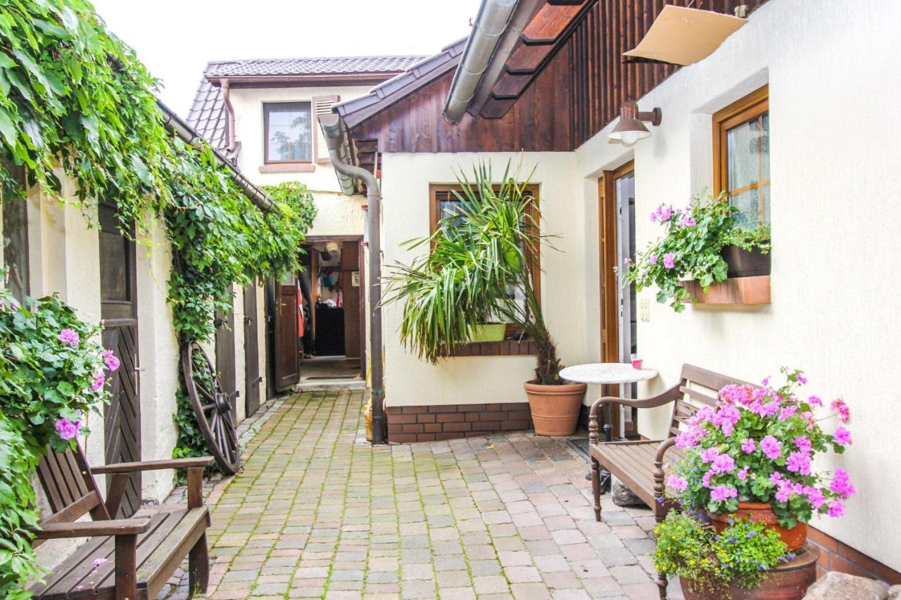 Apartamento Likedeeler 5 Zingst Exterior foto